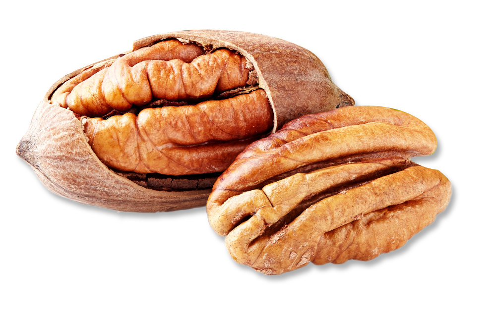 GWK Pecans